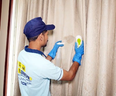 Stain Treatment & Steam Sanitization